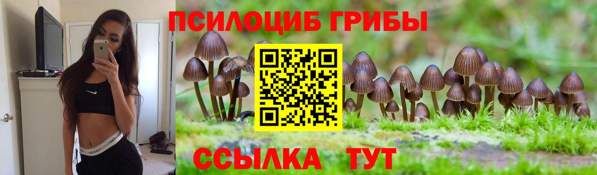 Оренбург  Псилоцибиновые грибы Psilocybine cubensis  Галлюциногенные грибы MAGIC MUSHROOMS  дарнет шоп  Вход с VPN 